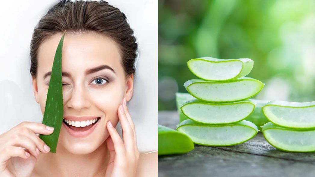 Benefits of Aloe Vera to The Skin