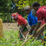 USAID Announces GROW Initiative to Help Women Face Threats From Climate Change, Food Crisis