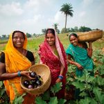 World Food Day 2025: Women — The Backbone of Global Food Security