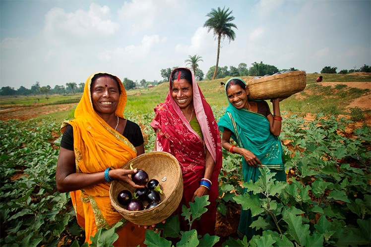 World Food Day 2025: Women — The Backbone of Global Food Security