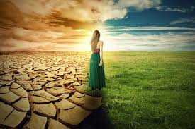 World Day to Combat Desertification and Drought 2026: Must Women Be at the Heart of Restoring Our Planet?